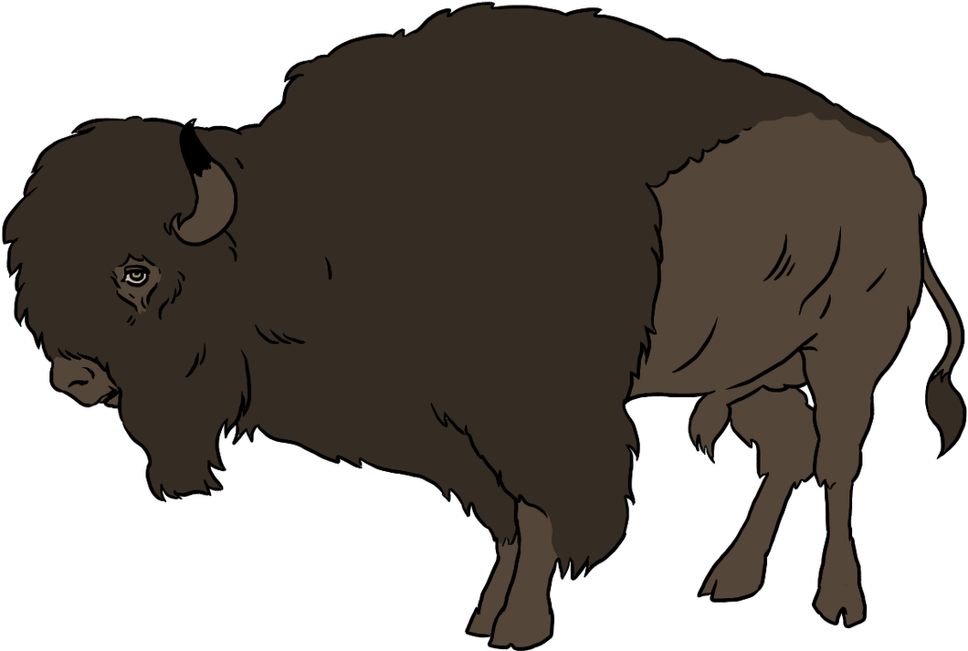 Buffalo, Bright Images - Bison Clipart (1060x713), Png Download