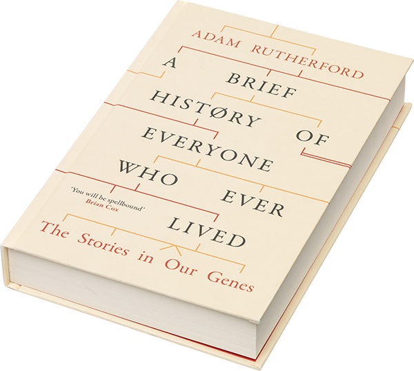 A Brief History Of Everyone Who Ever Lived - Paper Clipart (600x539), Png Download