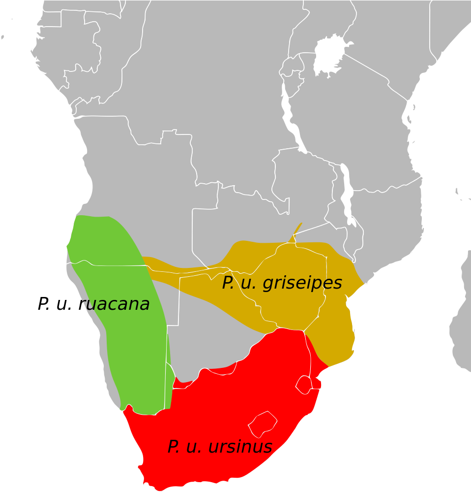 Structured Data - Recursos Economicos De Africa Clipart (1000x1000), Png Download