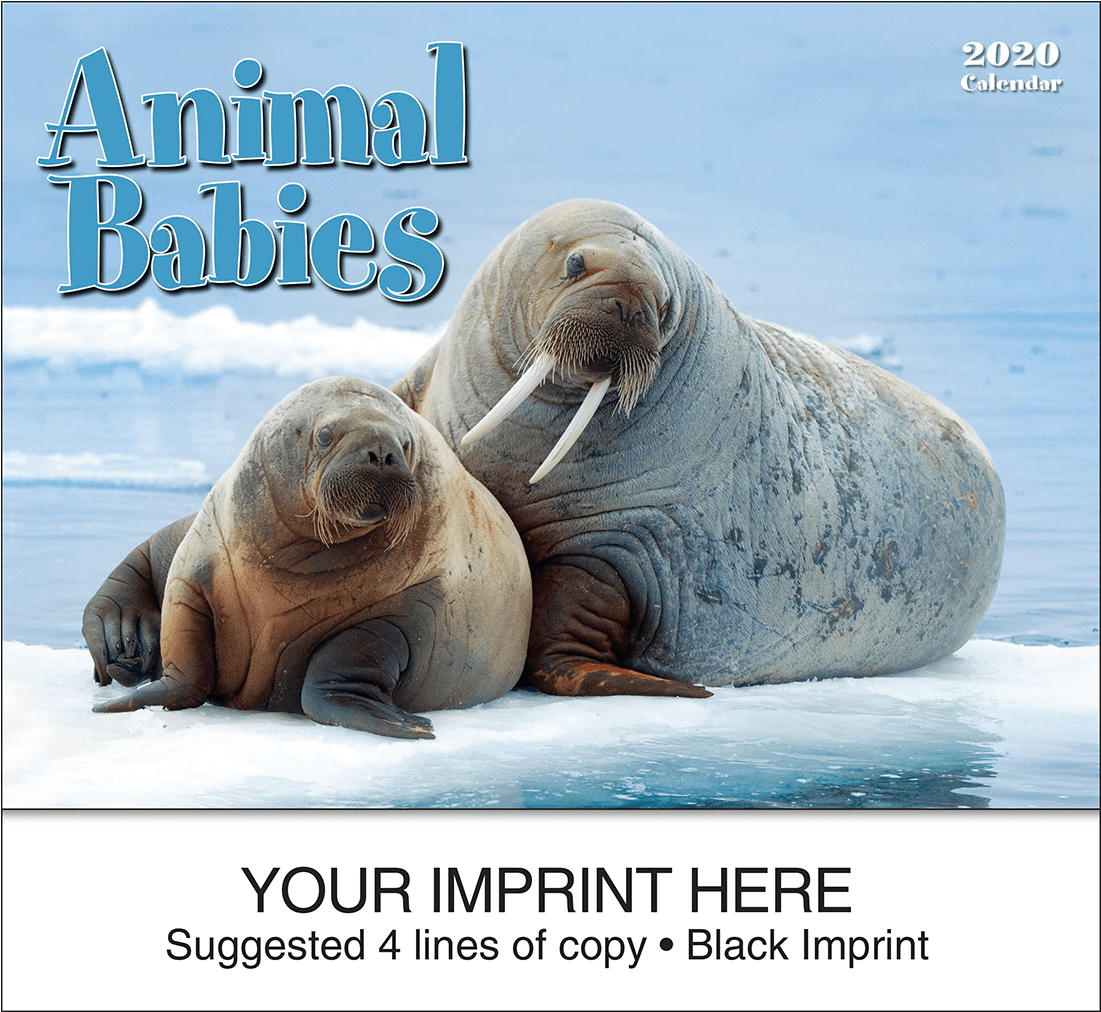 Picture Of Animal Babies Wall Calendar - 生活 在 北极 的 动物 Clipart (1200x1200), Png Download