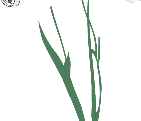 Related Posts - Grass Clipart (640x480), Png Download