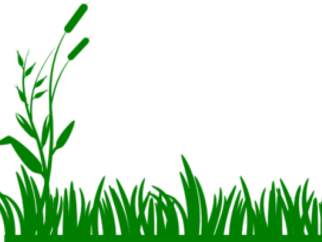 Lawn Clipart Banner - Grass Border Clipart - Png Download (640x480), Png Download