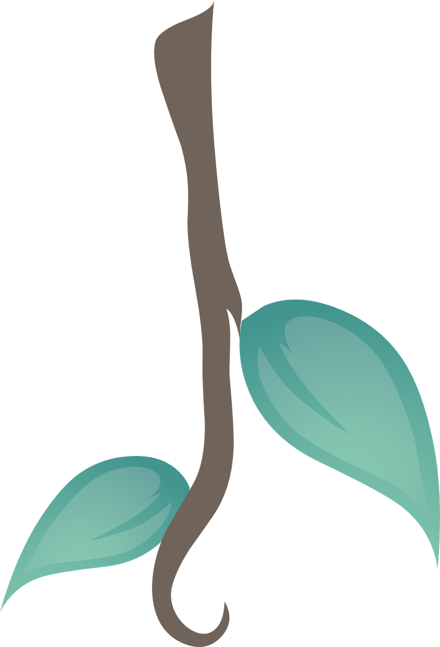 Lianas Clipart - Png Download (871x1280), Png Download