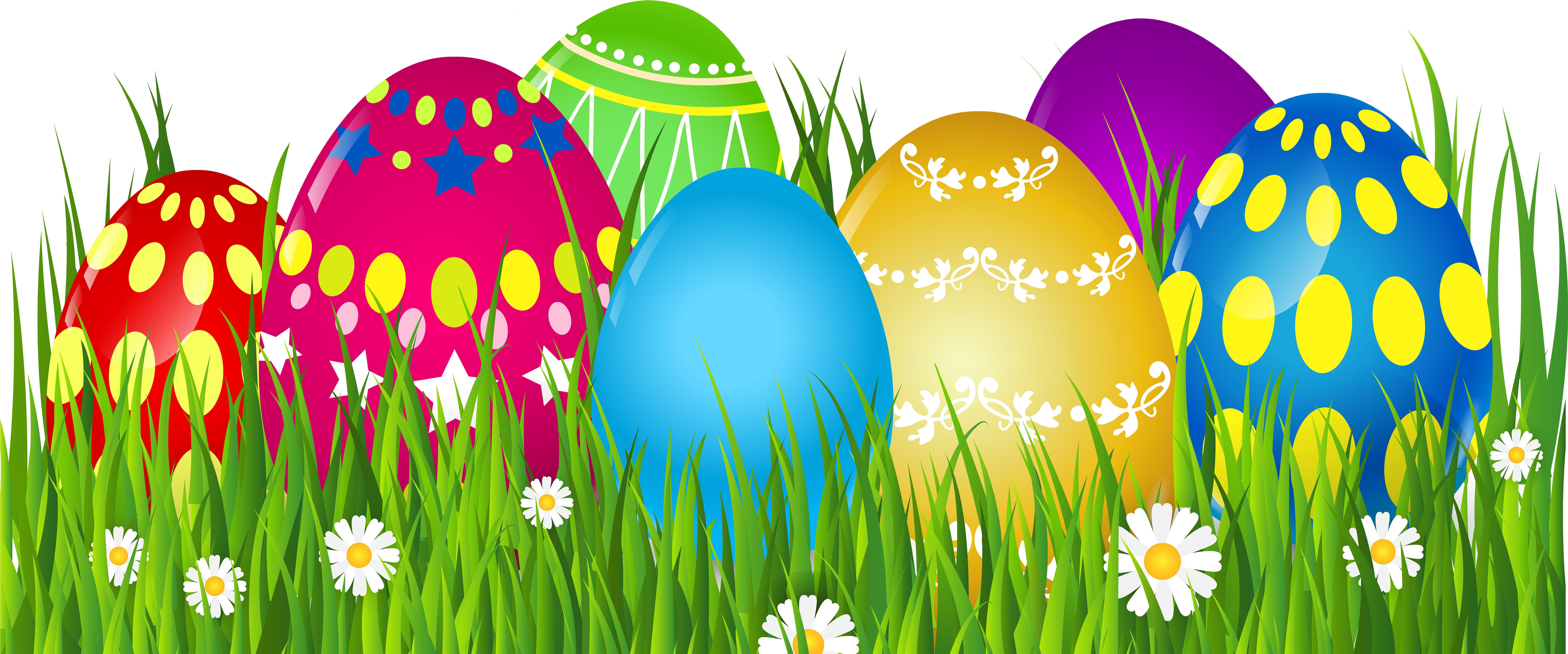 African Daisy Clipart (8000x3502), Png Download