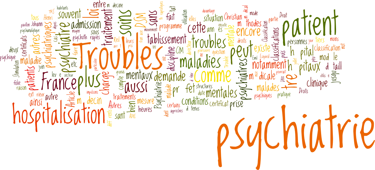 Psychiatry Fr Nuage De Mots Clés - Index Term Clipart (1280x581), Png Download