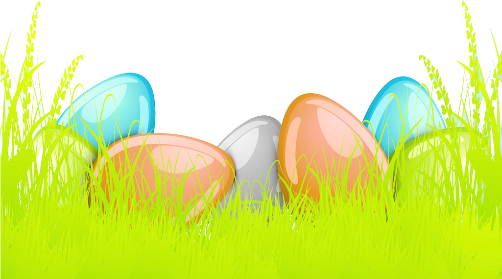 Price Wholesale Alibaba Information Eggs Transprent - Grass Clipart (1024x768), Png Download