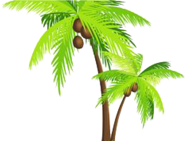 Palm Tree Png Transparent Images - Sea And Coconut Tree Vector Clipart (640x480), Png Download