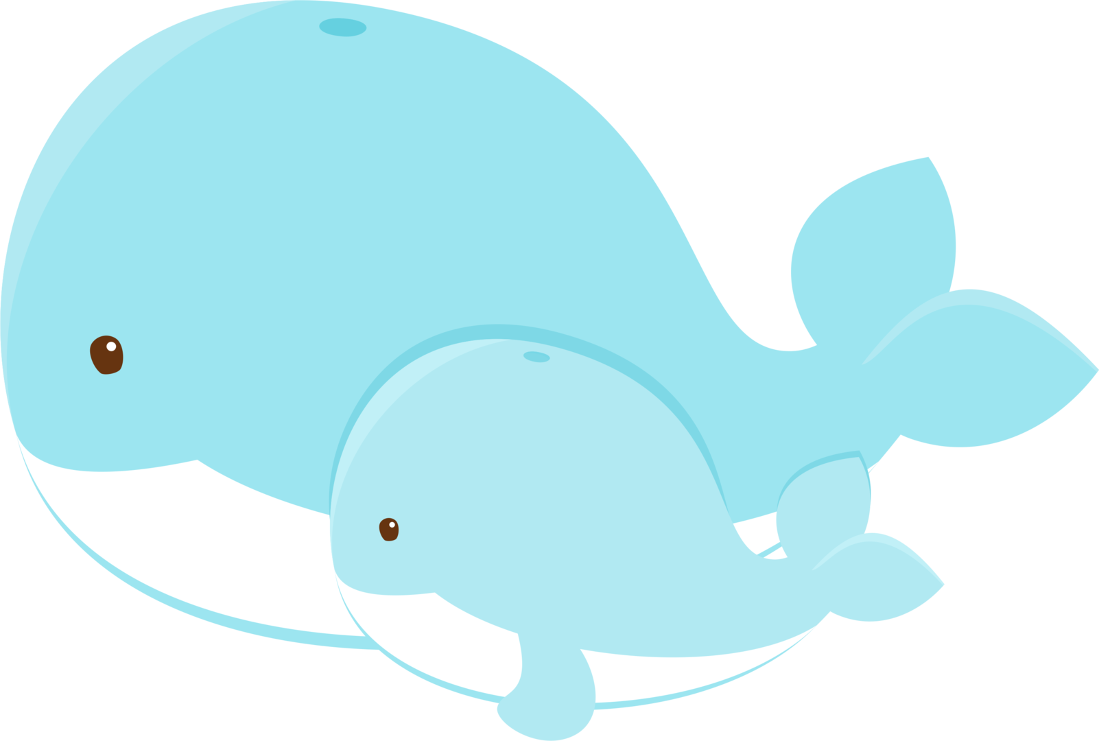 Baby Whale, Havaianas, Clip Art, Baby Shower, Stuffed - Png Download (1602x1080), Png Download