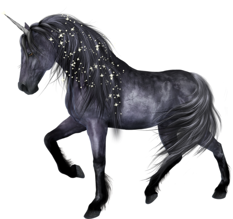Black Horse Png - Mythical Creature Horse Kelpie Clipart (800x754), Png Download