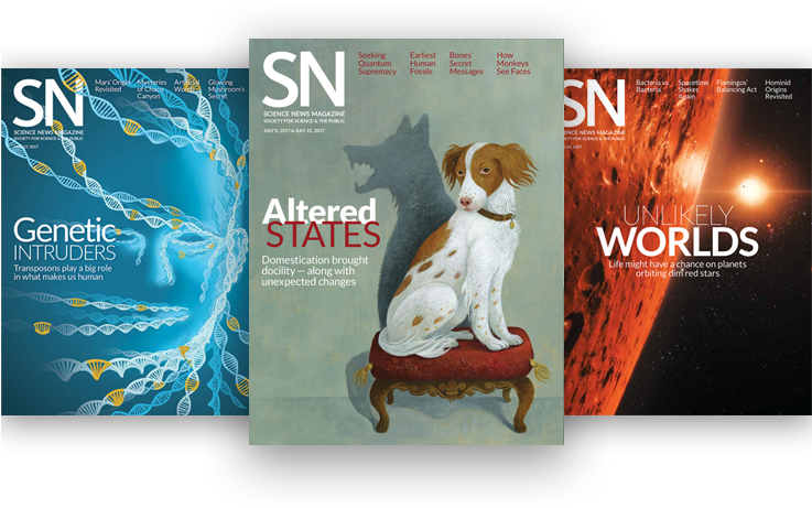 Science News Magazine Covers - Flyer Clipart (736x476), Png Download