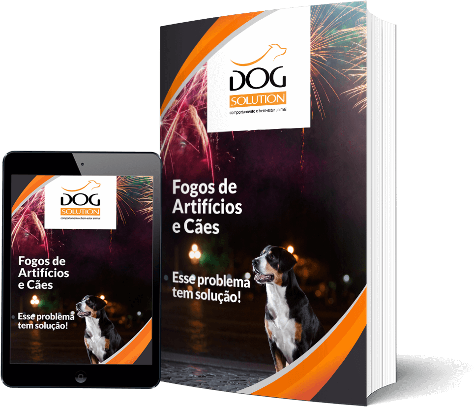 Flyer Clipart (989x847), Png Download