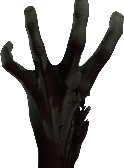 Left 4 Dead Hand Png , Png Download - X-ray Clipart (526x711), Png Download