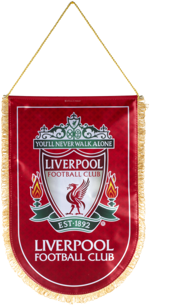 Wolves Vs Liverpool Fa Cup Clipart (621x621), Png Download