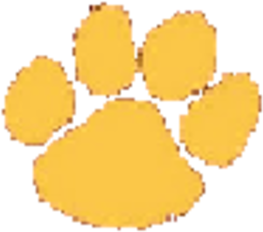 Leopard Clipart Liberty - Circle - Png Download (720x720), Png Download