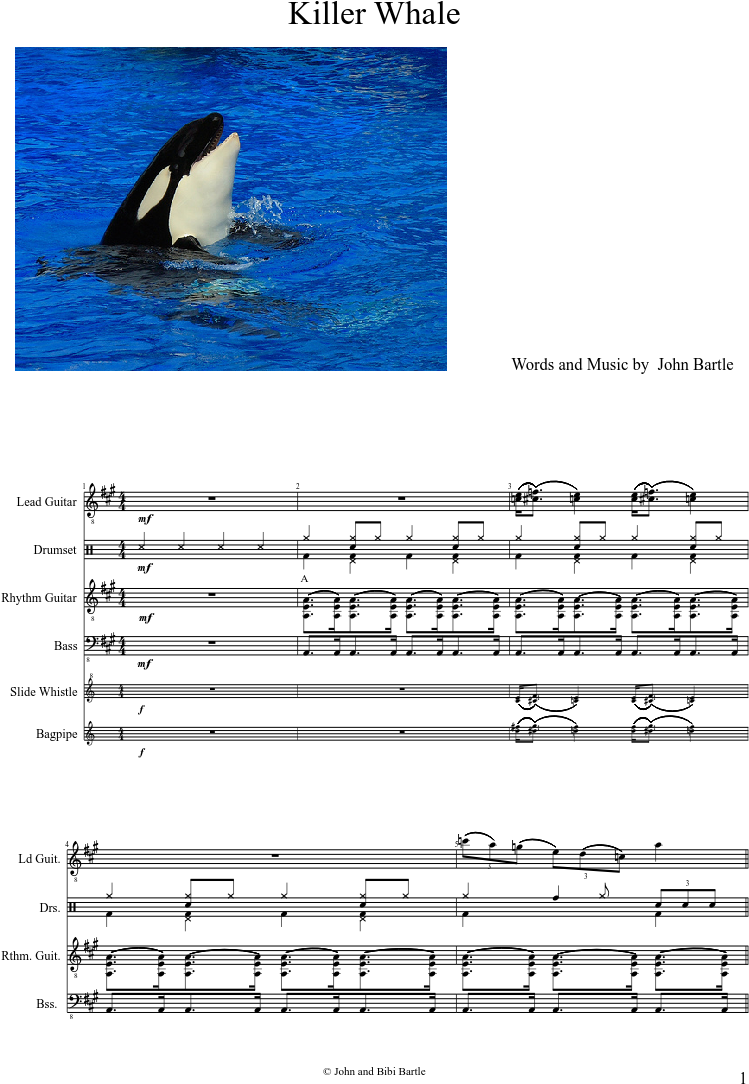 Killer Whale Sheet Music Composed By Words And Music - Killer Whale Clipart (827x1169), Png Download