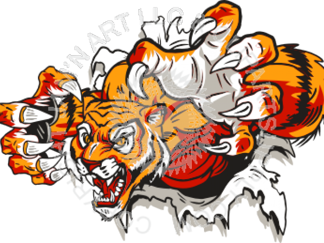 Melrose Golden Wildcats Basketball Clipart (640x480), Png Download