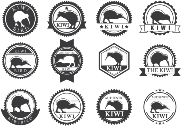 Kiwi Bird - Kiwi Bird Logo Clipart (700x490), Png Download