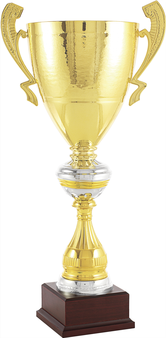 Trophy Clipart (847x1140), Png Download