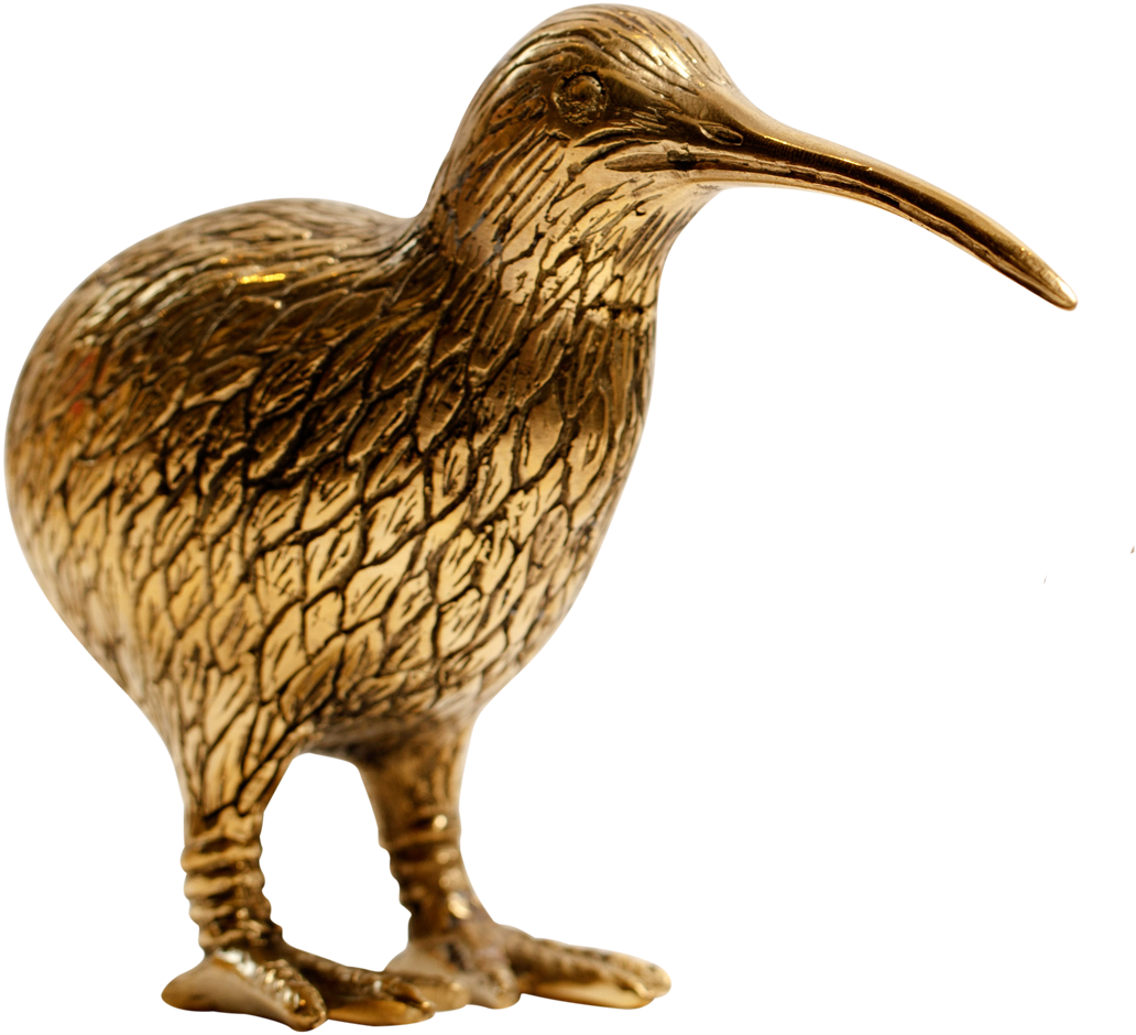 More Views - Kiwi Clipart (1228x1228), Png Download