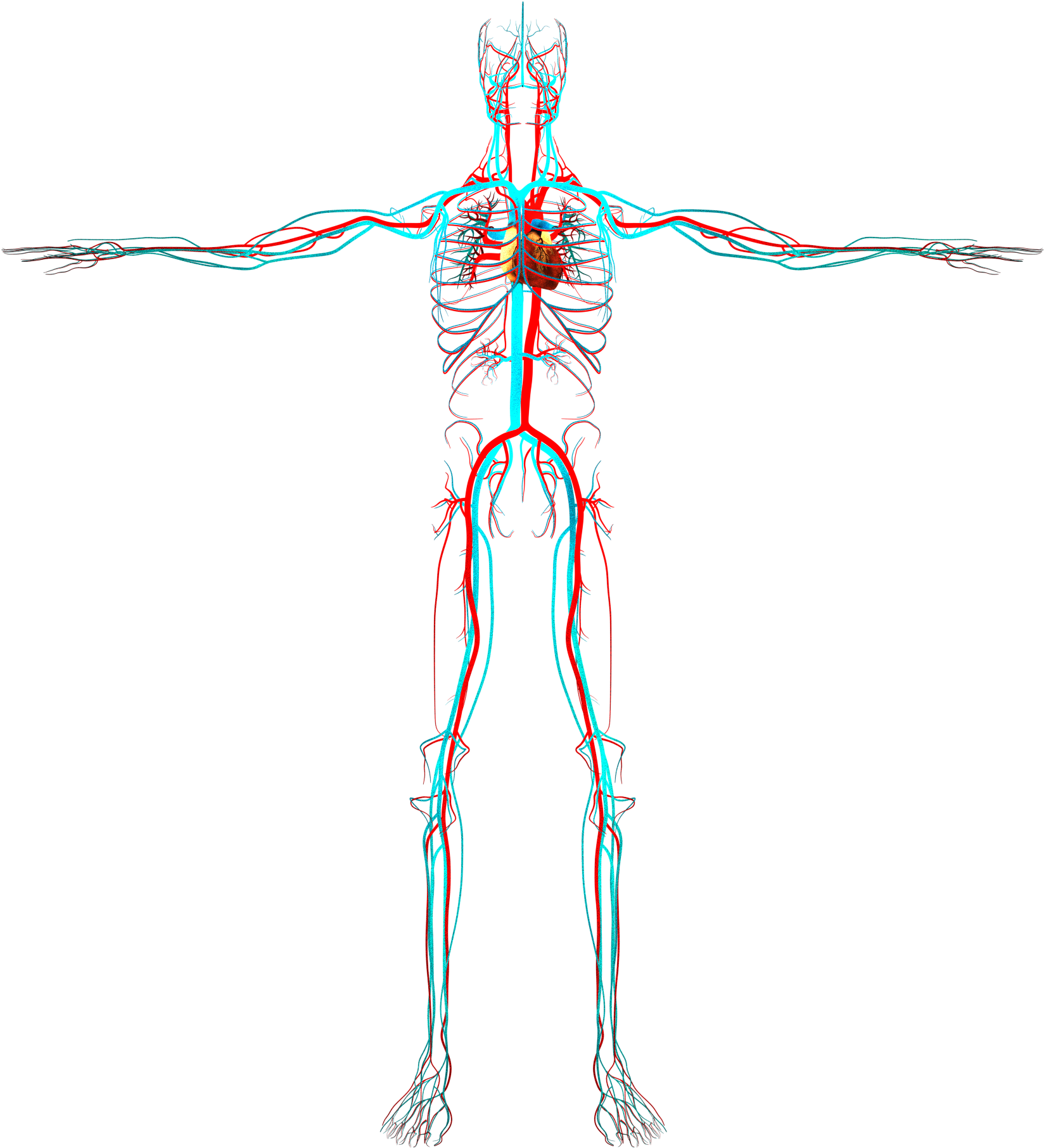 Subscribe Alpha Tauri - Circulatory System No Background Clipart (2000x2000), Png Download