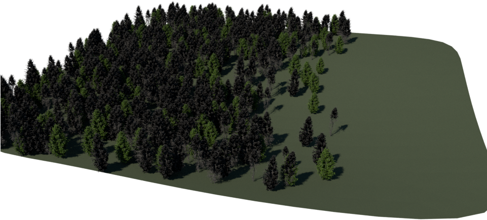 Yesterday I Had Very Less Time For This Project, So - Shortleaf Black Spruce Clipart (960x540), Png Download