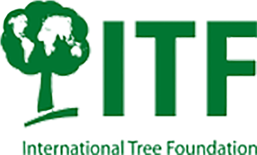Are You Interested In Partnering With Us We'd Love - International Tree Foundation Clipart (1000x500), Png Download