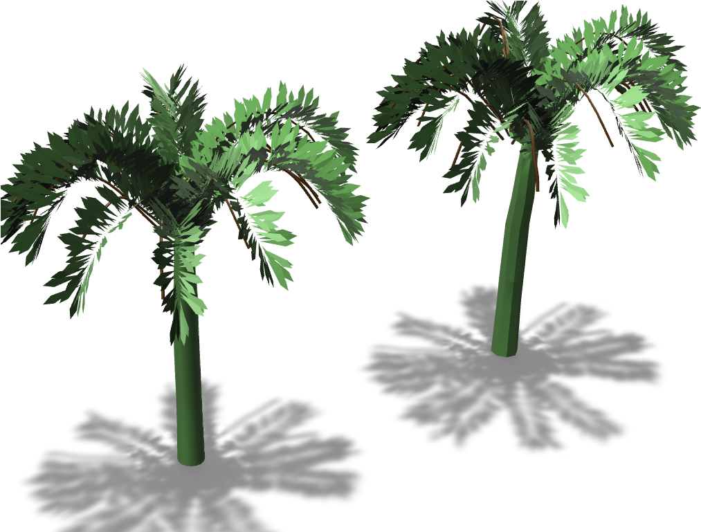 Palm Trees - Borassus Flabellifer Clipart (1024x768), Png Download