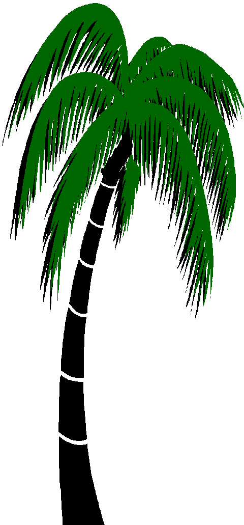 Graphics For Palm Trees Animated Graphics - Palm Tree 3d Gif Clipart (480x1031), Png Download