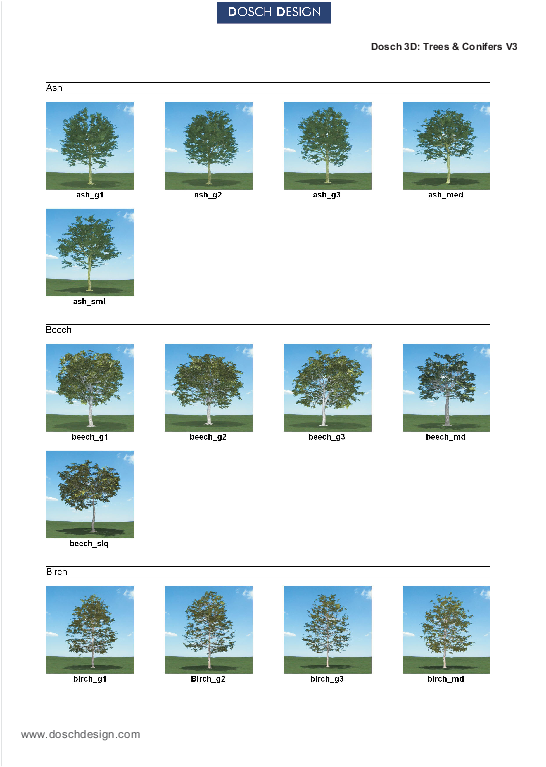 Attractive Quantity Discounts Up To 20% Are Displayed - Tree Clipart (595x842), Png Download
