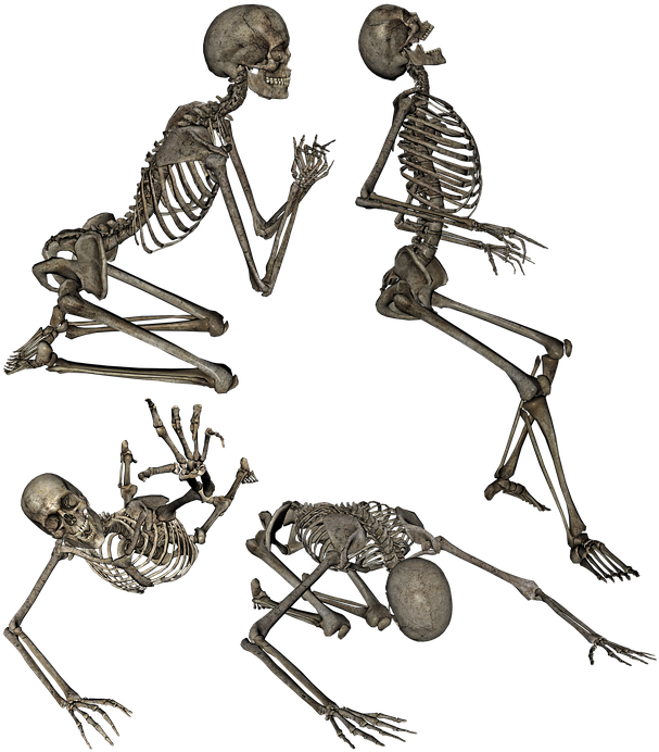 Skeleton Human Anatomy Kneeling Praying Crawling - Skelett Kneeling Pose Png Clipart (645x720), Png Download