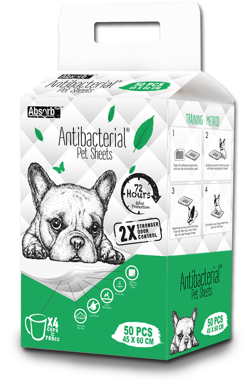 Click The Images To Enlarge - Absorb Charcoal Tã Lót Absorb Clipart (1277x1575), Png Download