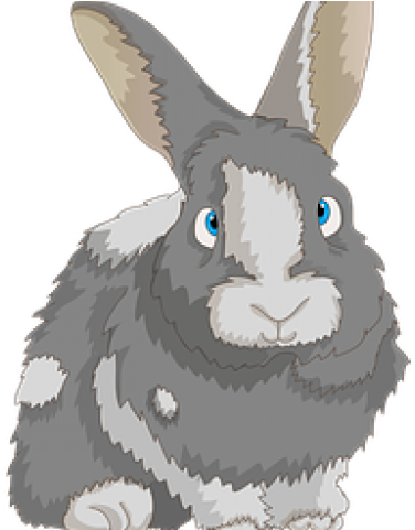 Domestic Rabbit Clipart (640x480), Png Download