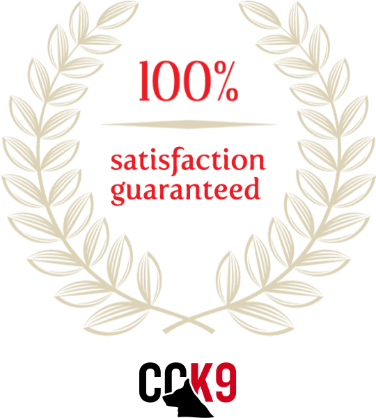Cck9 Guarantee Satisfaction Seal - Ride A Pony Clipart (540x600), Png Download