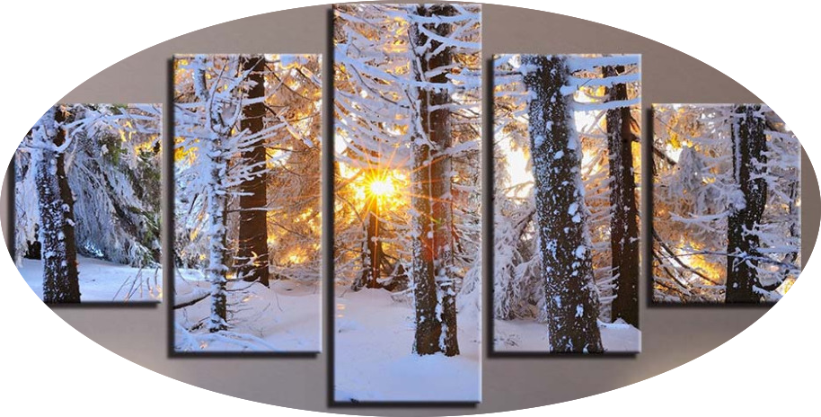 "warm Light & White Snow" - Sun Forest Winter Clipart (914x464), Png Download