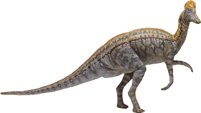 Smaller In Size Plumes Were Young Dinosaurs In The - Velociraptor Clipart (823x472), Png Download
