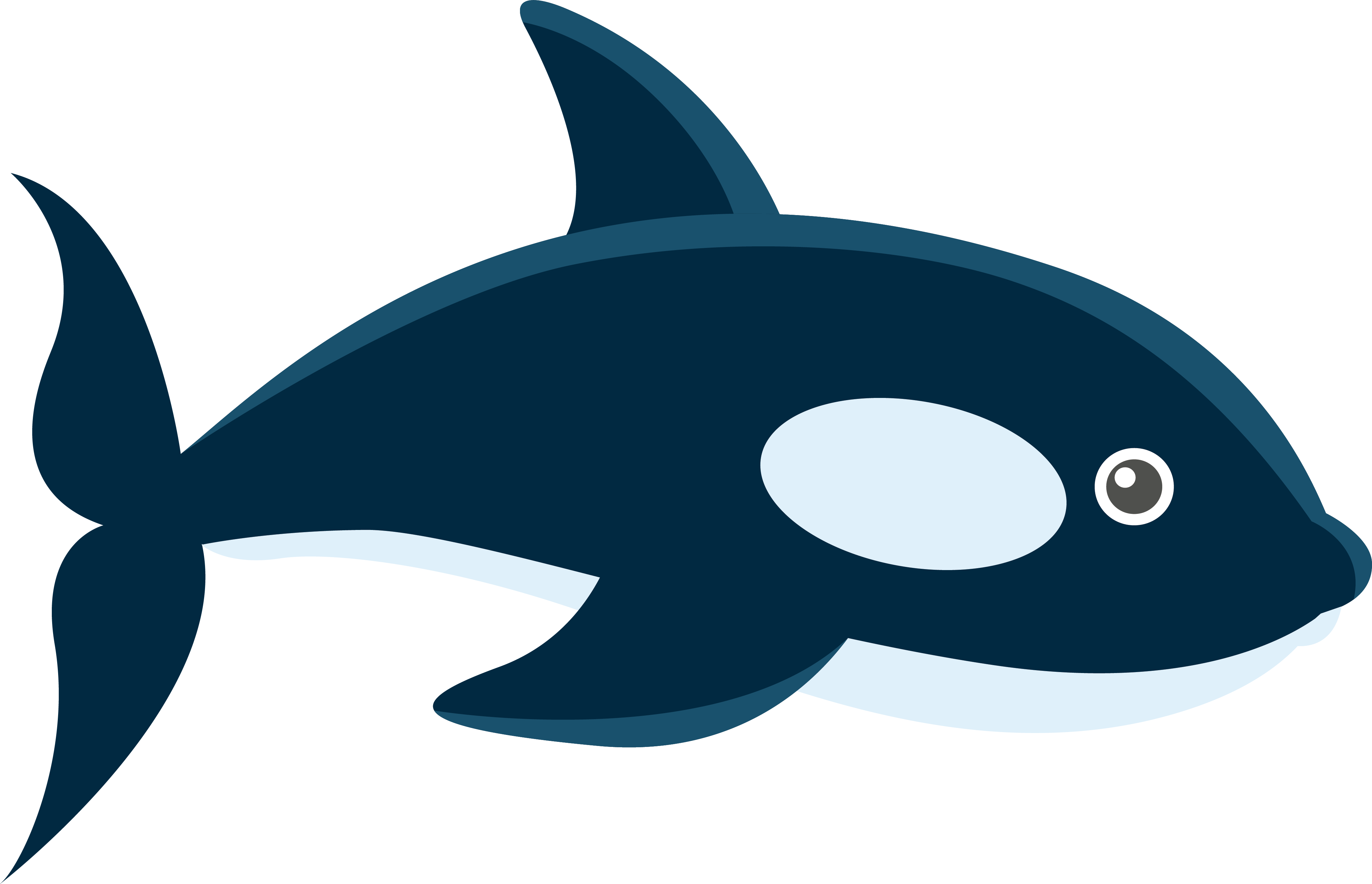 Svg Free Download Marine Biology Adobe Illustrator - Cartoon Whales Clipart (4343x2799), Png Download