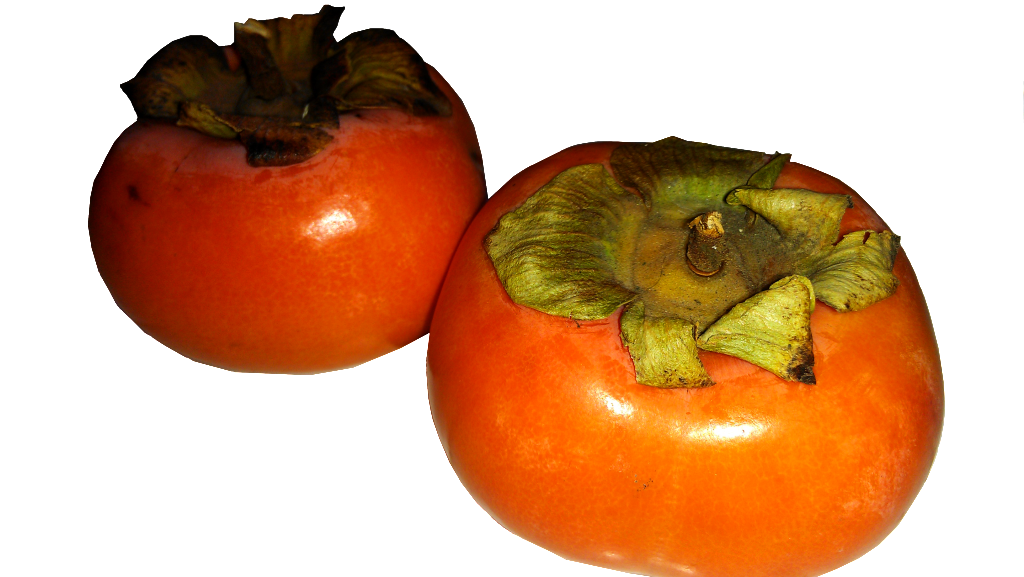 Persimmon Clipart (1024x577), Png Download
