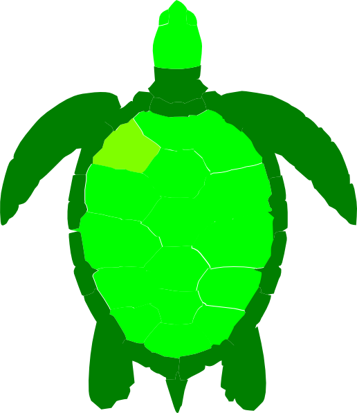 Green Sea Turtle Clipart - Png Download (516x597), Png Download