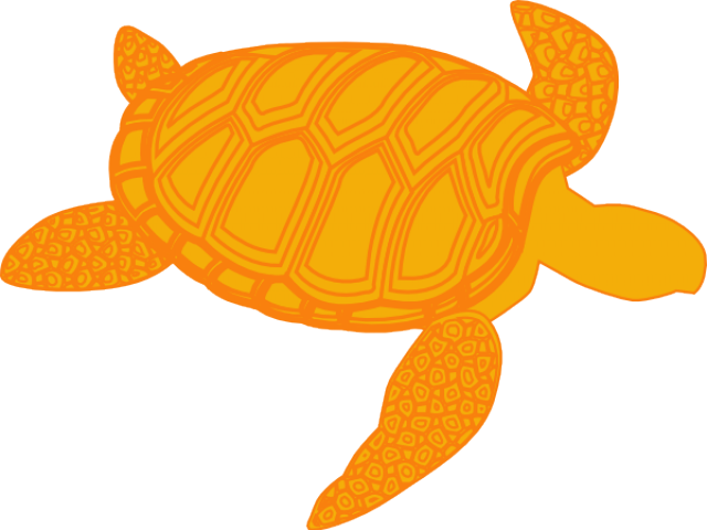 Sea Turtle Clipart Olive Ridley - Shadow Of A Turtle - Png Download (640x480), Png Download