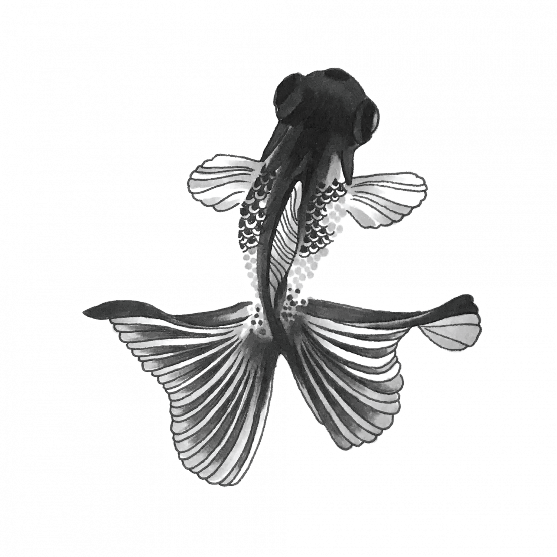 Temporary Tattoo Small Fish - Рыбки Черные Пнг Clipart (1110x1110), Png Download