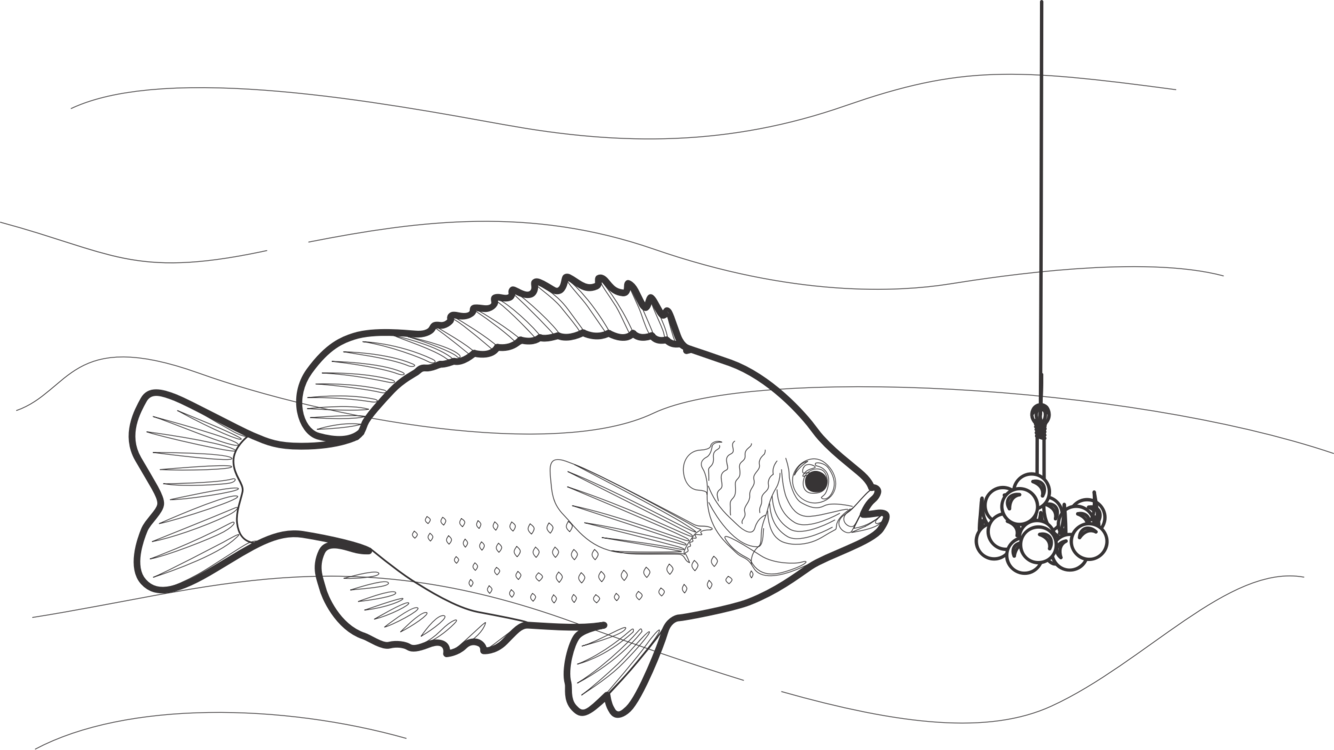 Black And White Fishing Bait Fishing Rods - Pomacentridae Clipart (1334x750), Png Download