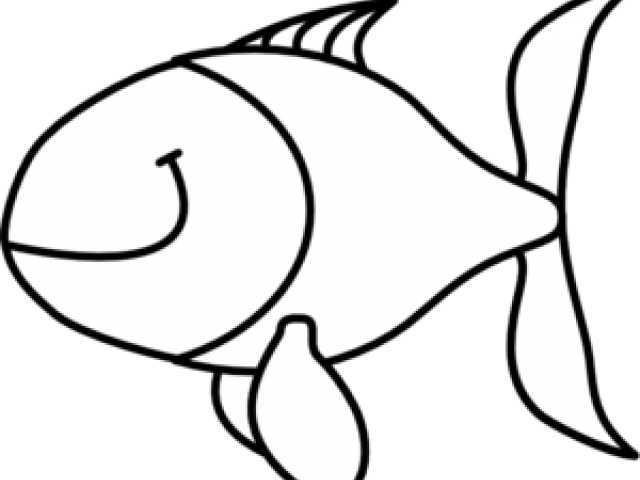 Fish Images Black And White - White Fish Clipart - Png Download (640x480), Png Download