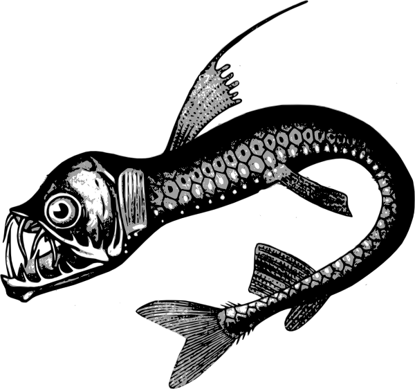 Deep Sea Creatures Drawing Clipart (600x562), Png Download