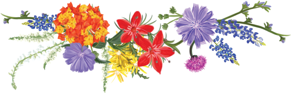 Picture Royalty - Wildflower Clip Art - Png Download (1000x334), Png Download