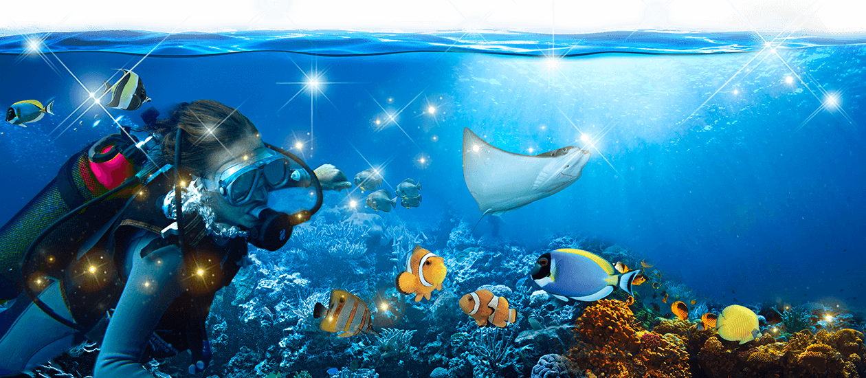 Save Our Seas - Tunisia Sea Life Clipart (1260x550), Png Download