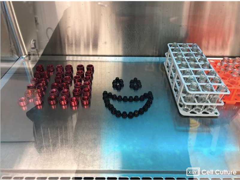 #labfriends #community #sciencecommunity #together - Berry Clipart (800x800), Png Download