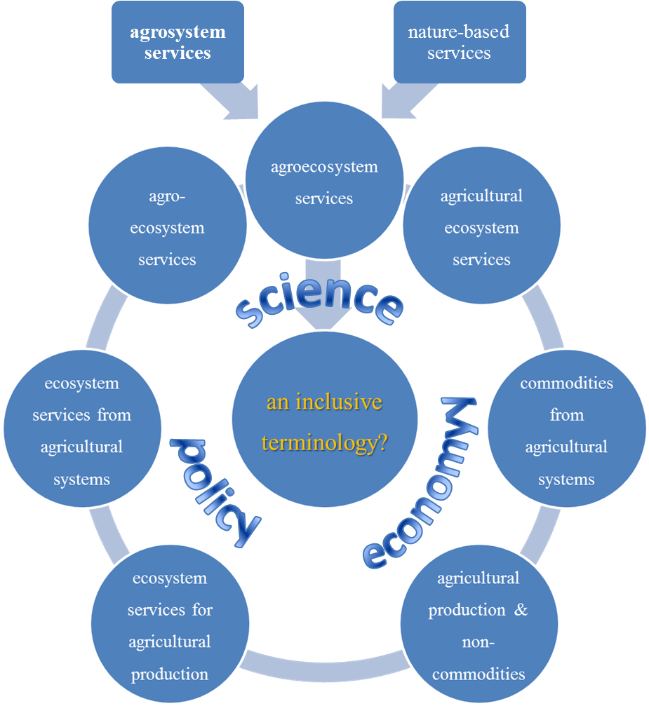 Download - Stroke Multidisciplinary Team Clipart (1170x1040), Png Download