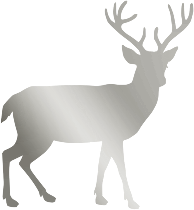 Silver Stag Deer Christmas Animal Card - Black And White Deer Png Clipart (663x720), Png Download