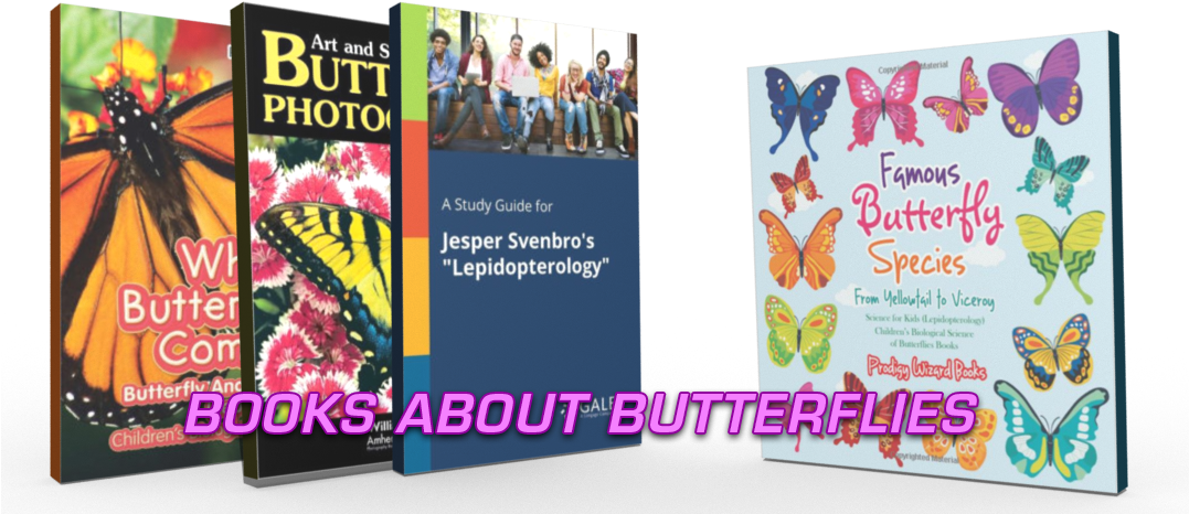 Flyer Clipart (1076x486), Png Download