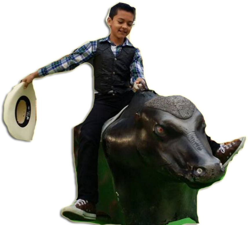 About - Bull Clipart (1024x1024), Png Download